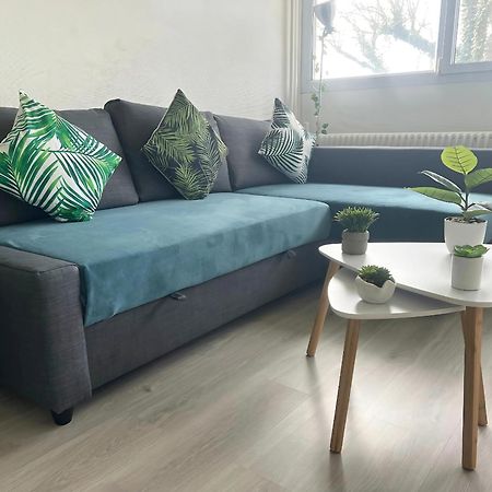 Appartement Le Classik' Parking Prive Mâcon 外观 照片